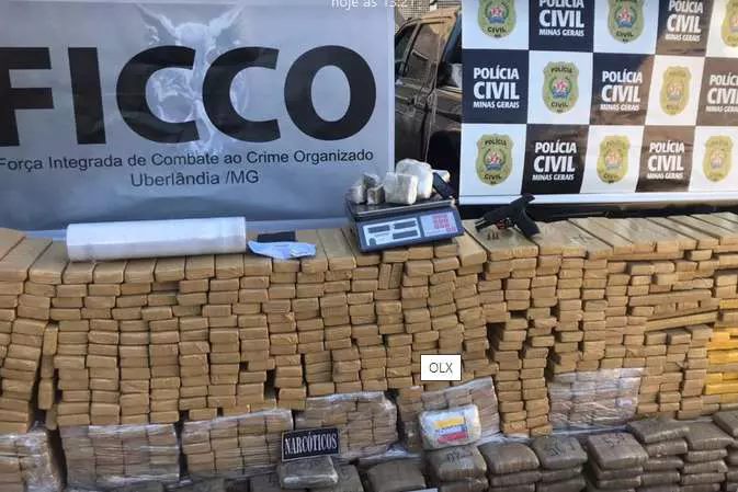 Força-tarefa apreende mais de 800 quilos de maconha