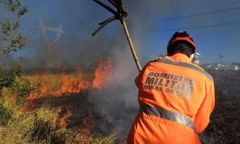 Incêndios florestais seguem desafiando os bombeiros em Minas