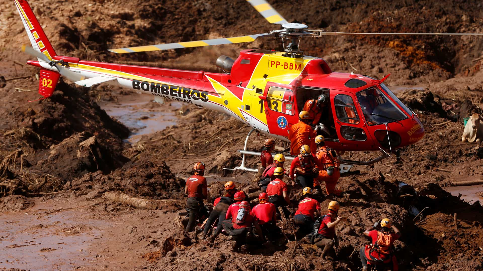 Corpo de mais uma vítima de Brumadinho é identificado