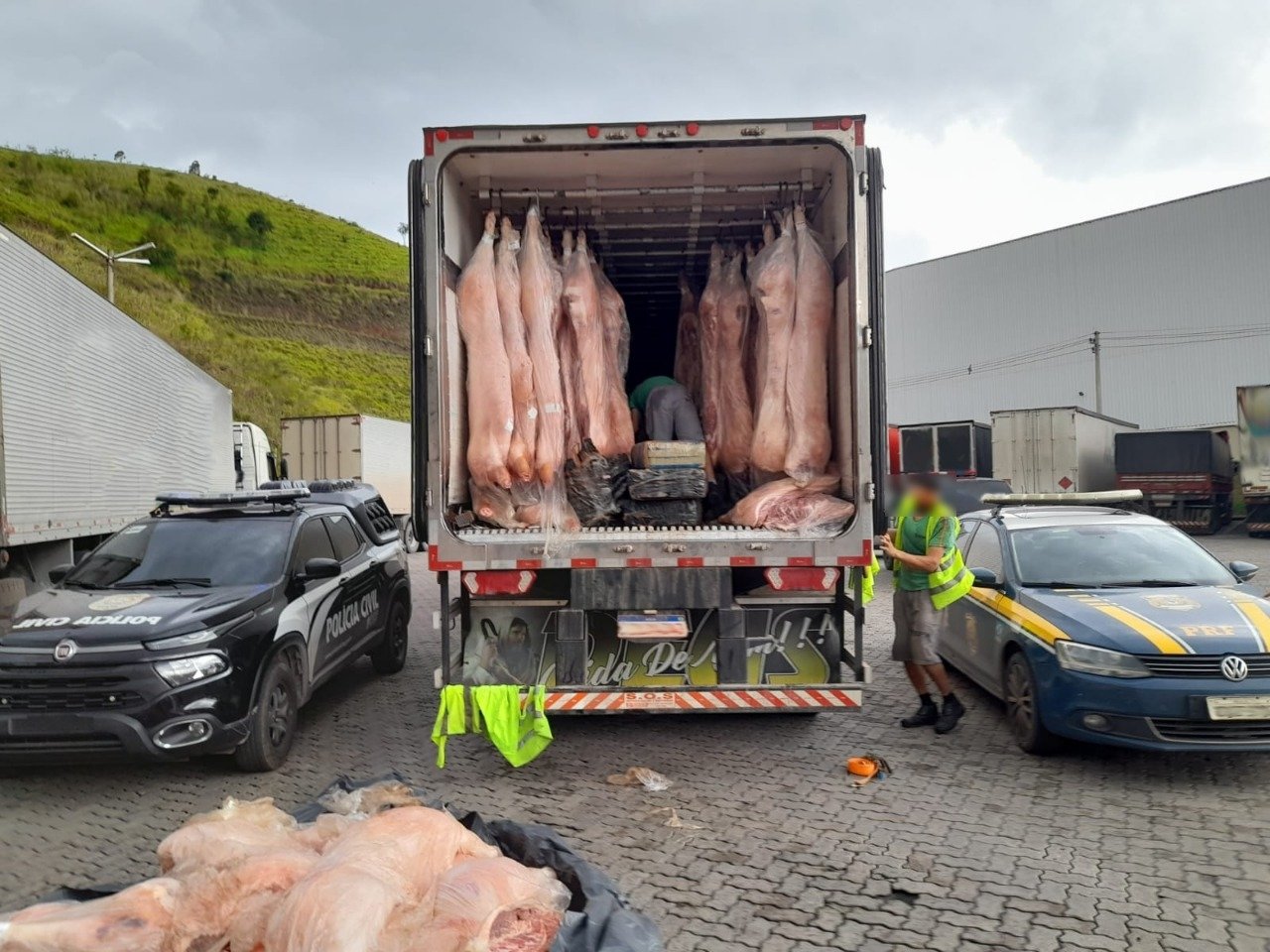 Quase 9 toneladas de maconha são apreendidas em carga de carne de porco