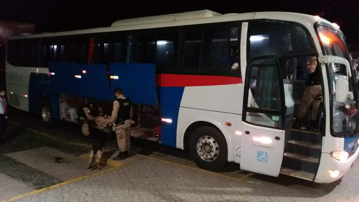 Drogas são apreendidas em ônibus na Operação Finados