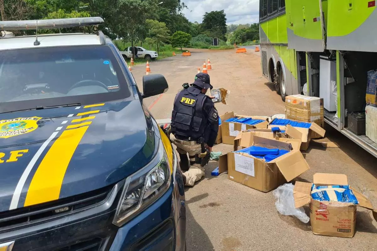 Droga avaliada em quase R$ 800 mil é apreendida em bagageiro de ônibus em MG