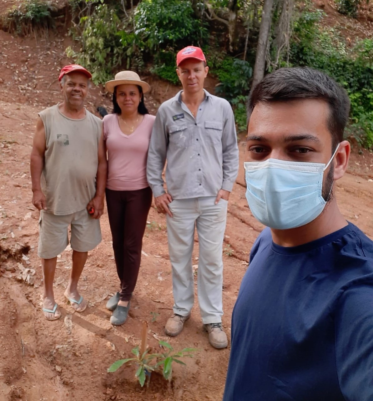 Abacate é a aposta do ATeG Fruticultura em Raul Soares