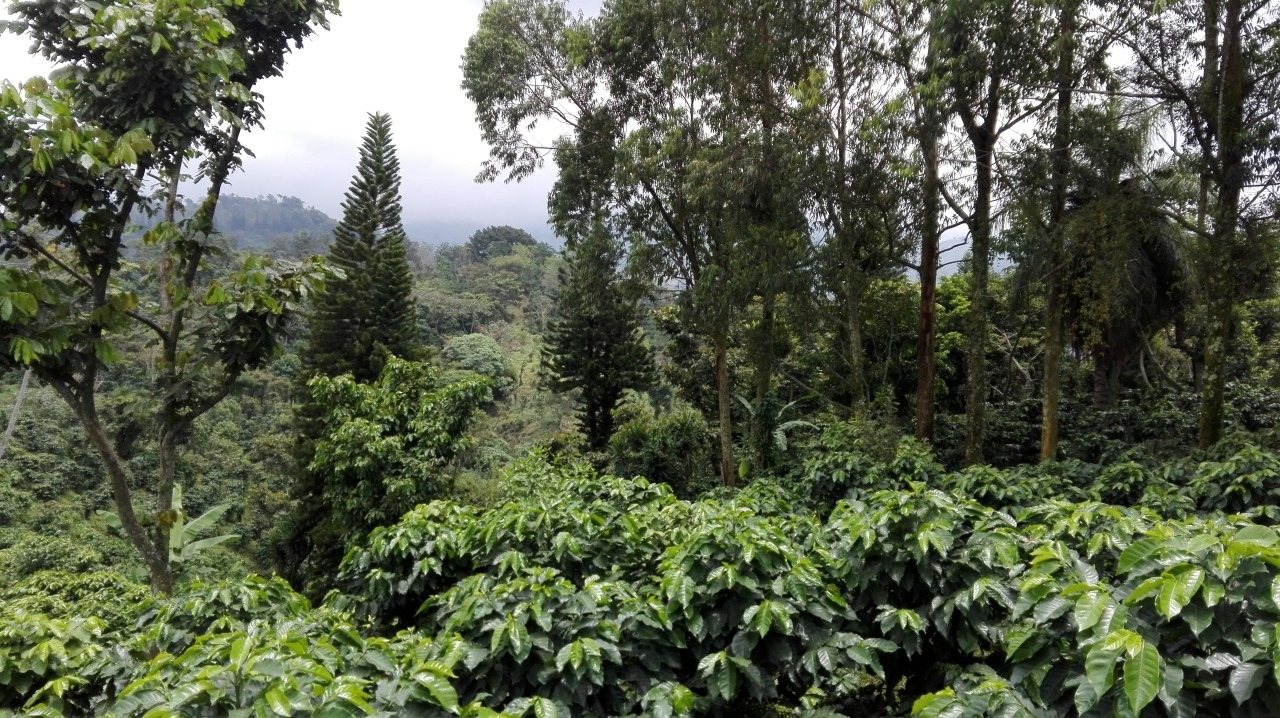 A importância de práticas sustentáveis na agricultura