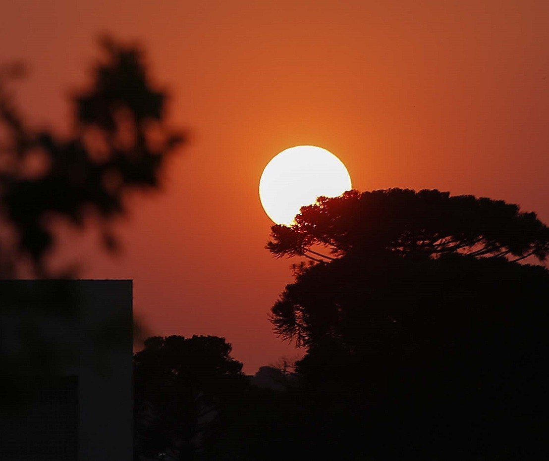 Mudanças climáticas prejudicam crescimento do Brasil, avalia OCDE