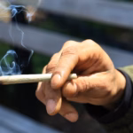 política-maconha-1778614214