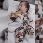 novo-projeto