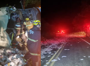 1_estado-de-minas-65567537