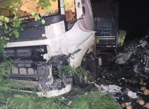 1_francisco-sa--convert-io--62162472