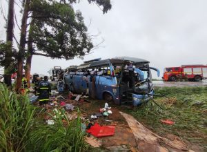 709edbd2ad170baaaa35fe7af99dccc7