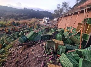 Acidente com carreta carregada de mangas na BR-116