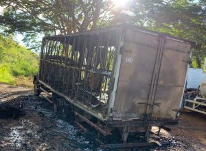 Caminhao Fogo Cgla (1)