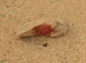 Corpo-Sol-Nascente-1