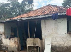 Fazenda-Rural