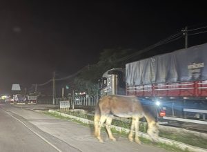 Imagem do WhatsApp de 2025-10-24 à(s) 21.00.57_1b97d660