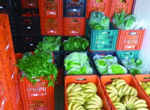 Minas bate recorde na compra de produtos da agricultura familiar para merenda escolar
