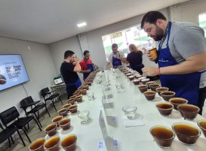 Prova café concurso 2025 b