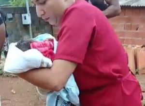 Recém-nascido abandonado em lote tem orelha e pés amputados por animal