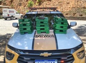 WhatsApp Image 2025-10-08 at 08.14.41