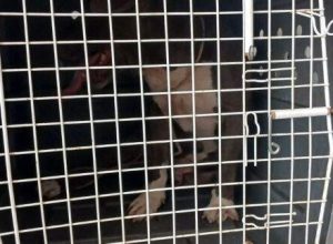 WhatsApp-Image-2026-01-07-at-16.42.14-2