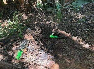 WhatsApp Image 2026-01-12 at 12.20.27