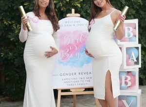 WhatsApp Image 2026-01-29 at 12.46.48