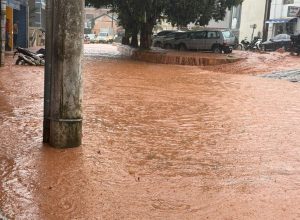 WhatsApp Image 2026-03-11 at 18.52.54