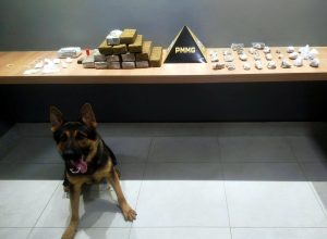 WhatsApp Image 2026-03-12 at 08.25.34