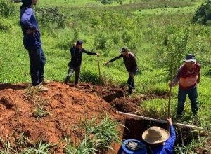 WhatsApp Image 2026-03-26 at 16.59.26 (3)