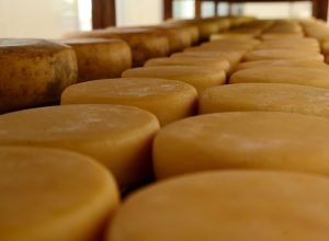 WhatsApp_Image_2026-04-20_at_13.17.29