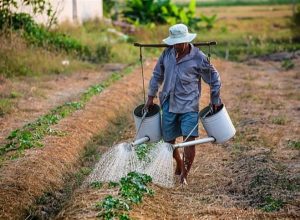 b1416f79747143ccabaf747878587f2c_858x483