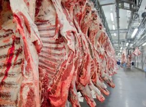 carnes