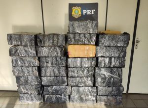 cidades-apreens-o-de-maconha-1763316439