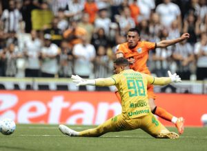 image (6)